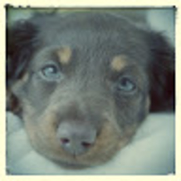 Meet your Posher, Swetha - Picture 1 of 1